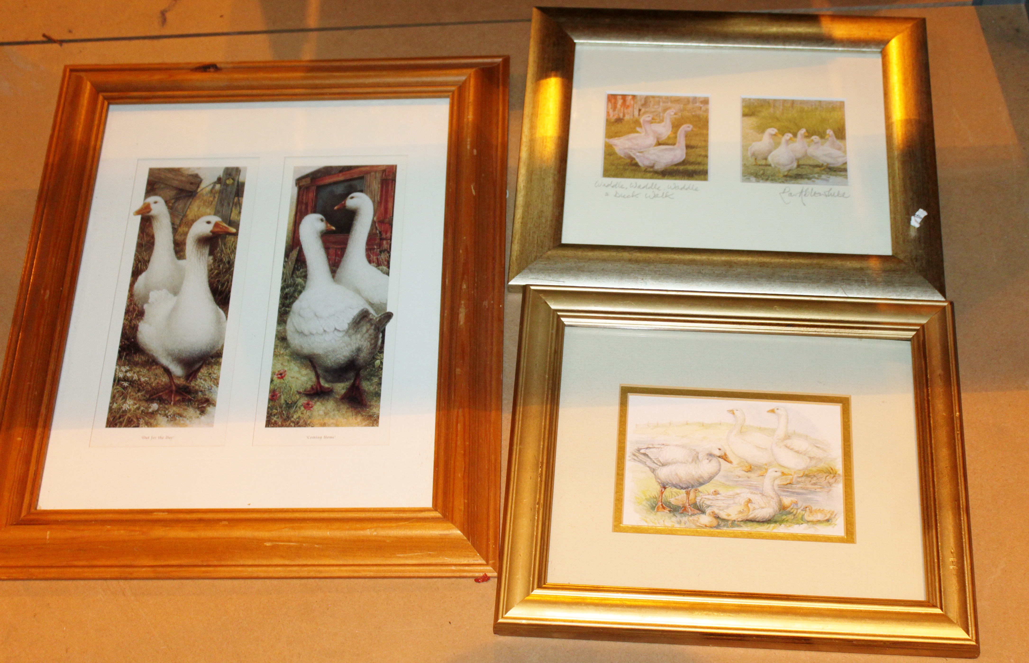Three framed prints of geese
