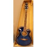 Ashton electro acoustic guitar