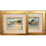 Two original Jill Cameron watercolours of New Zealand scenes