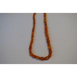 A good heavy string of graduated amber beads. Approx 70 grams. Est. £800 - £900.