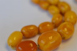 A graduated string of amber beads with twist clasp. Approx 29 grams. Est. £280 - £320.