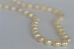 A good string of cultured pearl beads. Est. £20 - £30