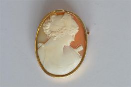 An attractive oval cameo of a lady's head in gold frame. Est. £50 - £60.