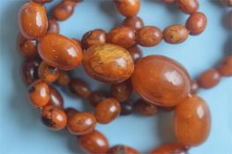 A graduated string of amber beads. Approx. 36 grams. Est. £100 - £150.
