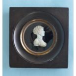 An unusual carved ivory framed bust of a Blackamore in wooden frame. Approx. 13cm Est. £250 - £300