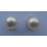 A pair of pearl and gold single stone ear studs. Est. £15 - £20.