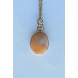 A 9 carat agate mounted pendant on fine link chain. Approx. 9.5 grams. Est. £30 - £40.