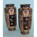 A good pair of Cloisonne vases decorated with flow