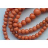 A long graduated string of coral beads with ring clasp weighing approx. 15 grams. Est. £60 - £80.