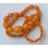 A good graduated string of amber beads. Approx. 43 grams. Est. £600 - £700.