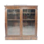 An early 19th century rosewood cabinet, the pierced gallery with central lead lined well above a