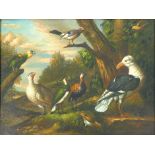 Follower of Edgar Hunt,
A modern study of exotic birds,
signed 'Hunt',
oil on board, 
29 x 39 cm