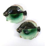 A pair of majolica shallow dishes of fish shaped form, w. 19.5 cm  CONDITION REPORT: small chips and