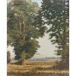 Douglas Bower (b. 1924),
'English Elms - near Uffington, Wiltshire',
signed,
oil on board,
29 x 23.5