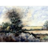 John Frederick Black (20th/21st century),
A summers landscape,
signed and dated 1998,
watercolour,