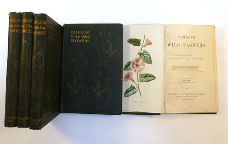 Hulme. E: Familiar Wild Flowers Nd. C. 1900. 5 vols. 1st-5th. Series. 8vo. Hd. Illustrated covers,