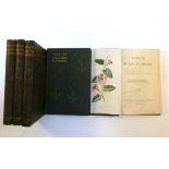 Hulme. E: Familiar Wild Flowers Nd. C. 1900. 5 vols. 1st-5th. Series. 8vo. Hd. Illustrated covers,