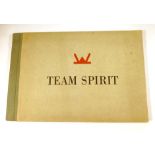 Team Spirit - The Administration of the 53rd. Welsh Division During "Operation Overlord", June