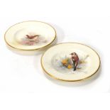 A pair of early 20th century Royal Worcester side plates depicting a wren and a goldfinch, signed W.