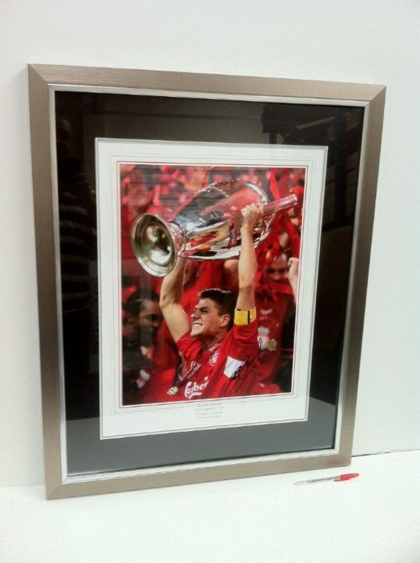 STEVEN GERRARD raised cup signed photo .  Estimated value £180-£200. Size 26x32 inches dual silver