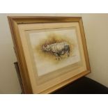 "Indian Rhino". A Professionally Framed & Glazed Signed Print After David Shepherd. Signed by the