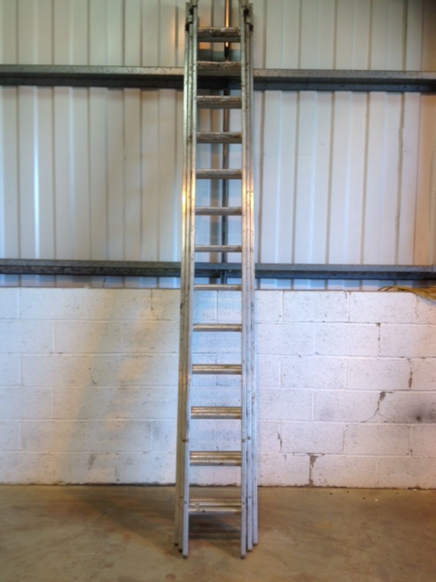 Triple  13 rung  ladder
