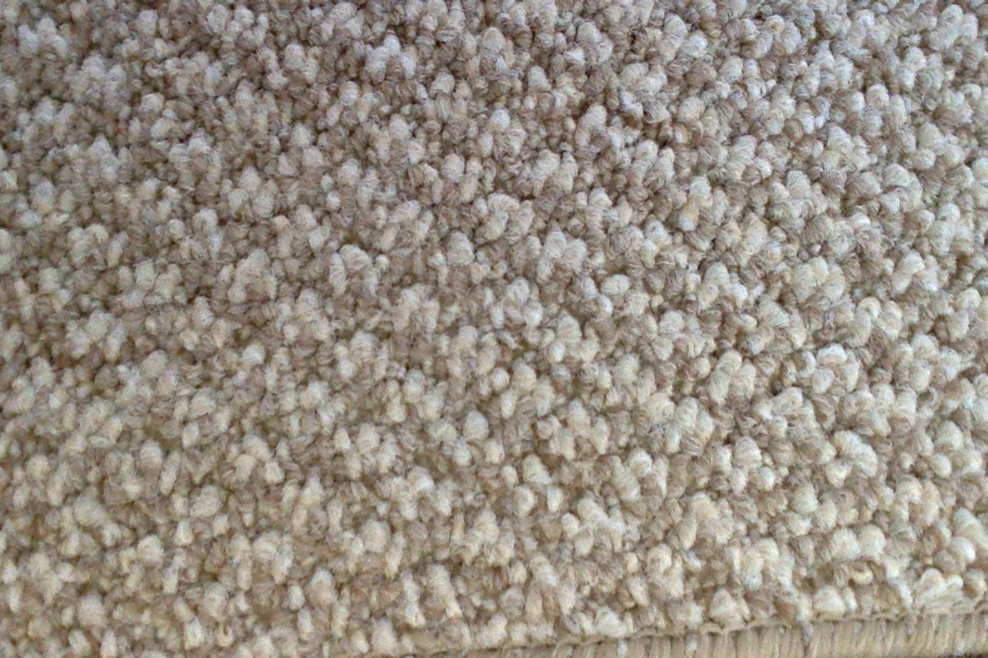 Landlord's Special Heavy Duty Carpet - Biscuit Heavy duty economy carpeting.   17.5x4m - Total 70m2