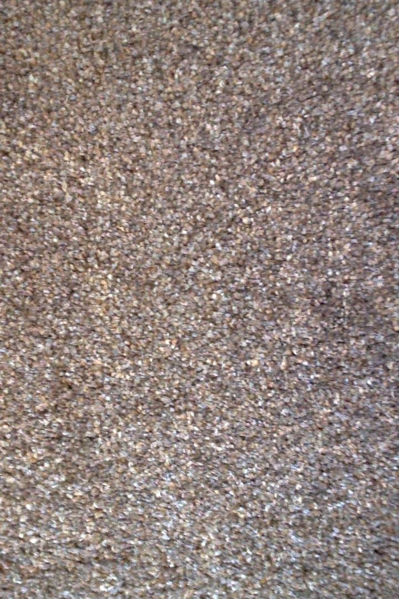 Westex Ultima Twist Major - Fossil  Heavy duty, British made wool twist pile carpet. With medium