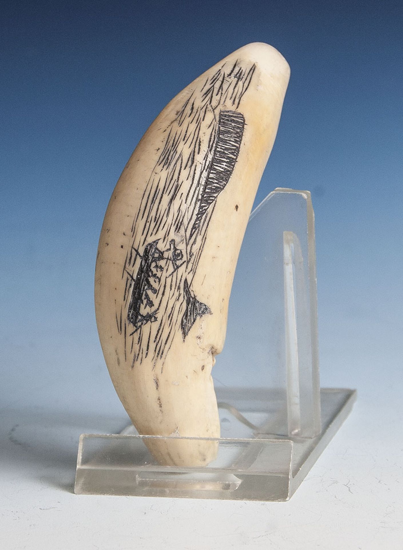 Reserve: 70 EUR        Kleiner Pottwalzahn "Scrimshaw", 19. Jahrhundert, mit geschwärzter Gravur,