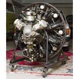 Flugzeugsternmotor Letecky M462 RF, Flugzeugmotor wohl für eine Let Z-37 mit 315PS,Metall,