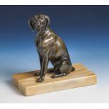 Bronzefigur, wohl um 1900, feine Ausformung (ohne Sign.), Darst. DeutscherKurzhaarjagdhund, sitzend,