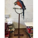 A wooden Parrott on stand
