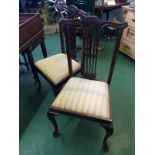 A pair of Hepplewhite style dining chairs with striped cushions.