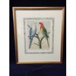 Cassell's Canaries and Cage Birds Chrome Lithograph Published 1882