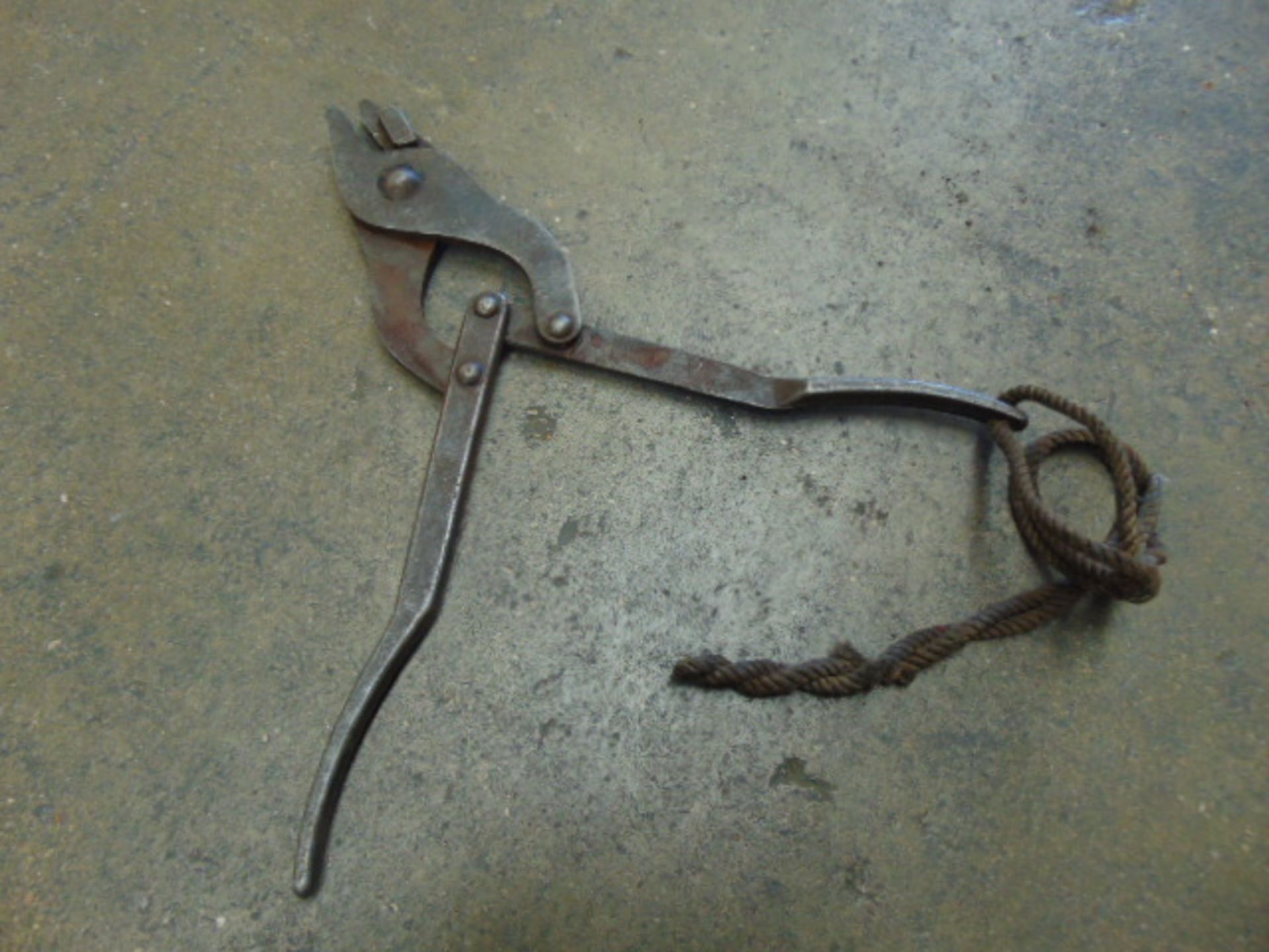 Frog Wire Cutter - Image 3 of 4