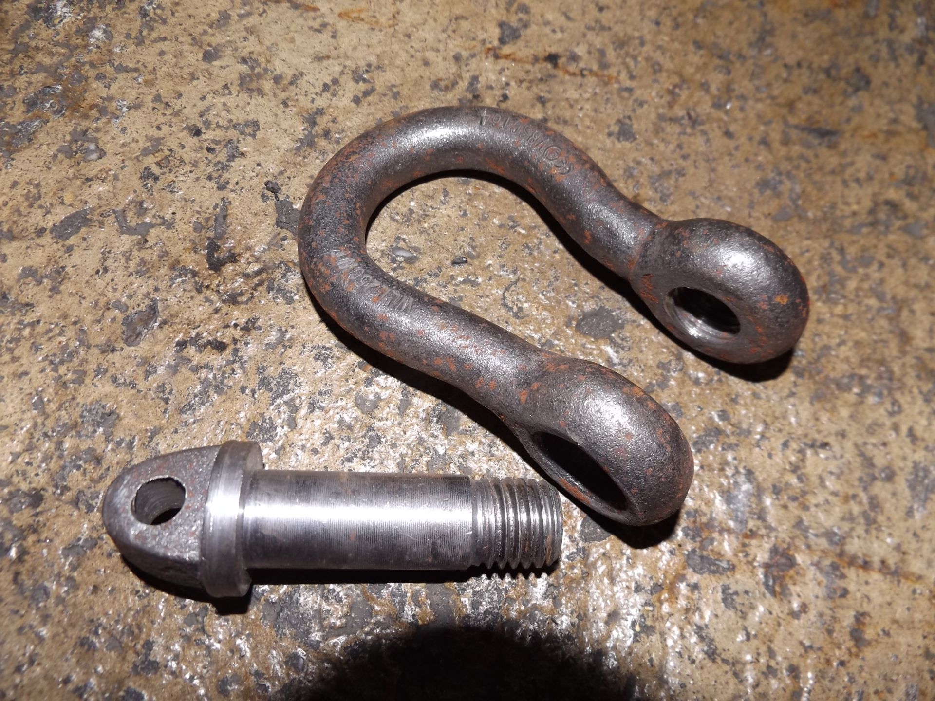 25 x Unissued D Shackles - Image 3 of 4