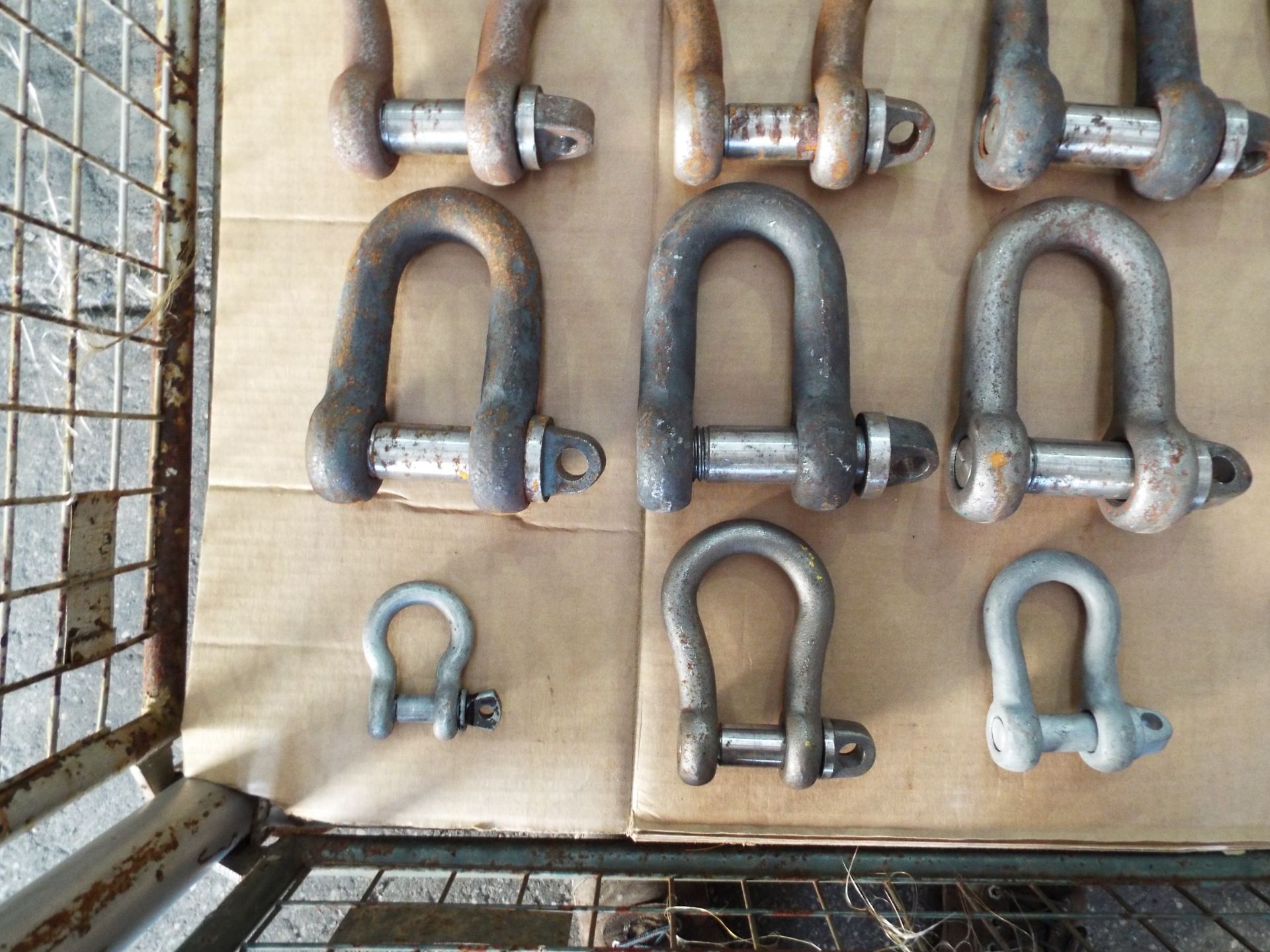 19 x Mixed D Shackles - Image 4 of 5