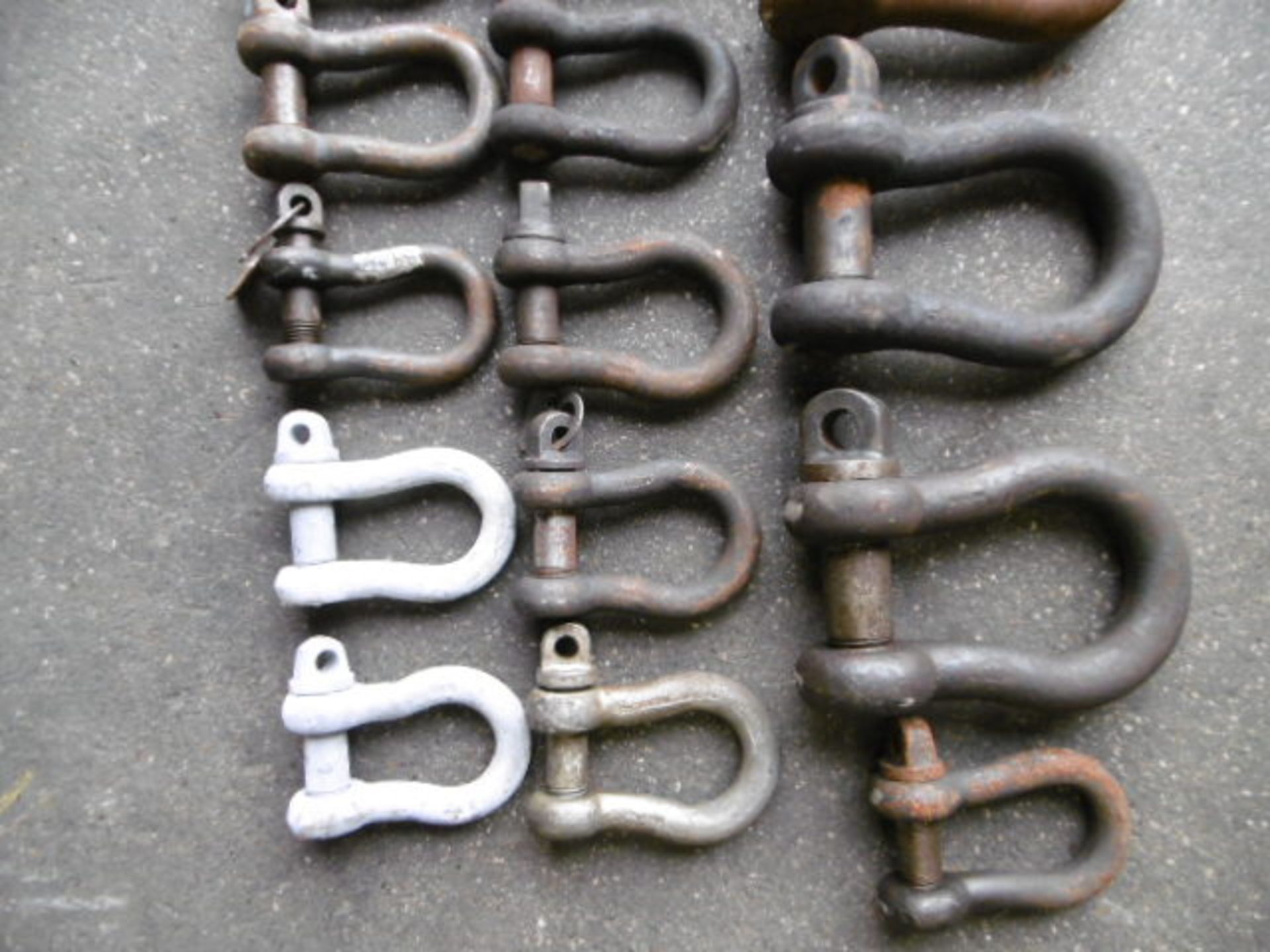 20 x mixed size D Shackles - Image 3 of 3