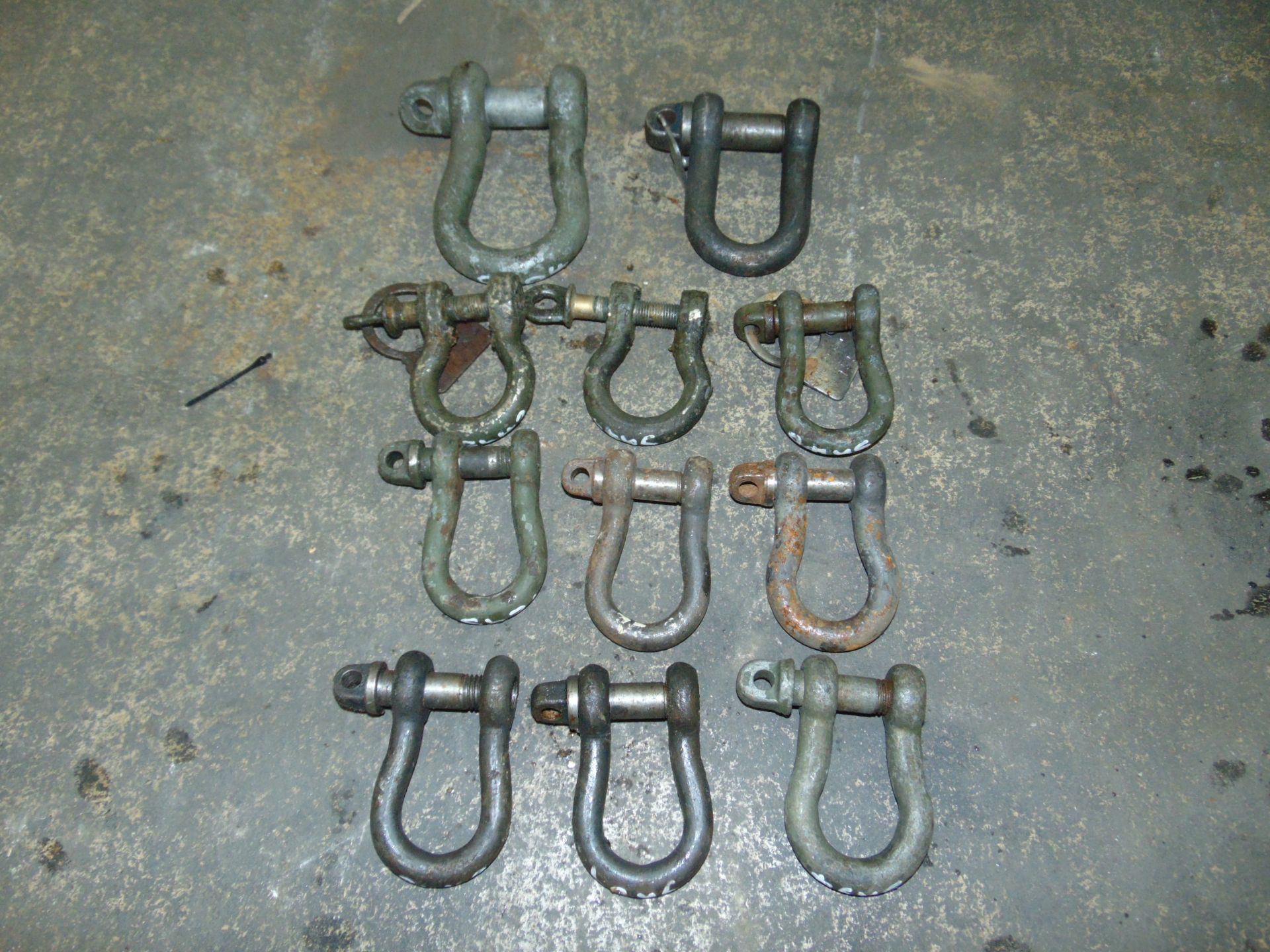 11 x mixed size D Shackles