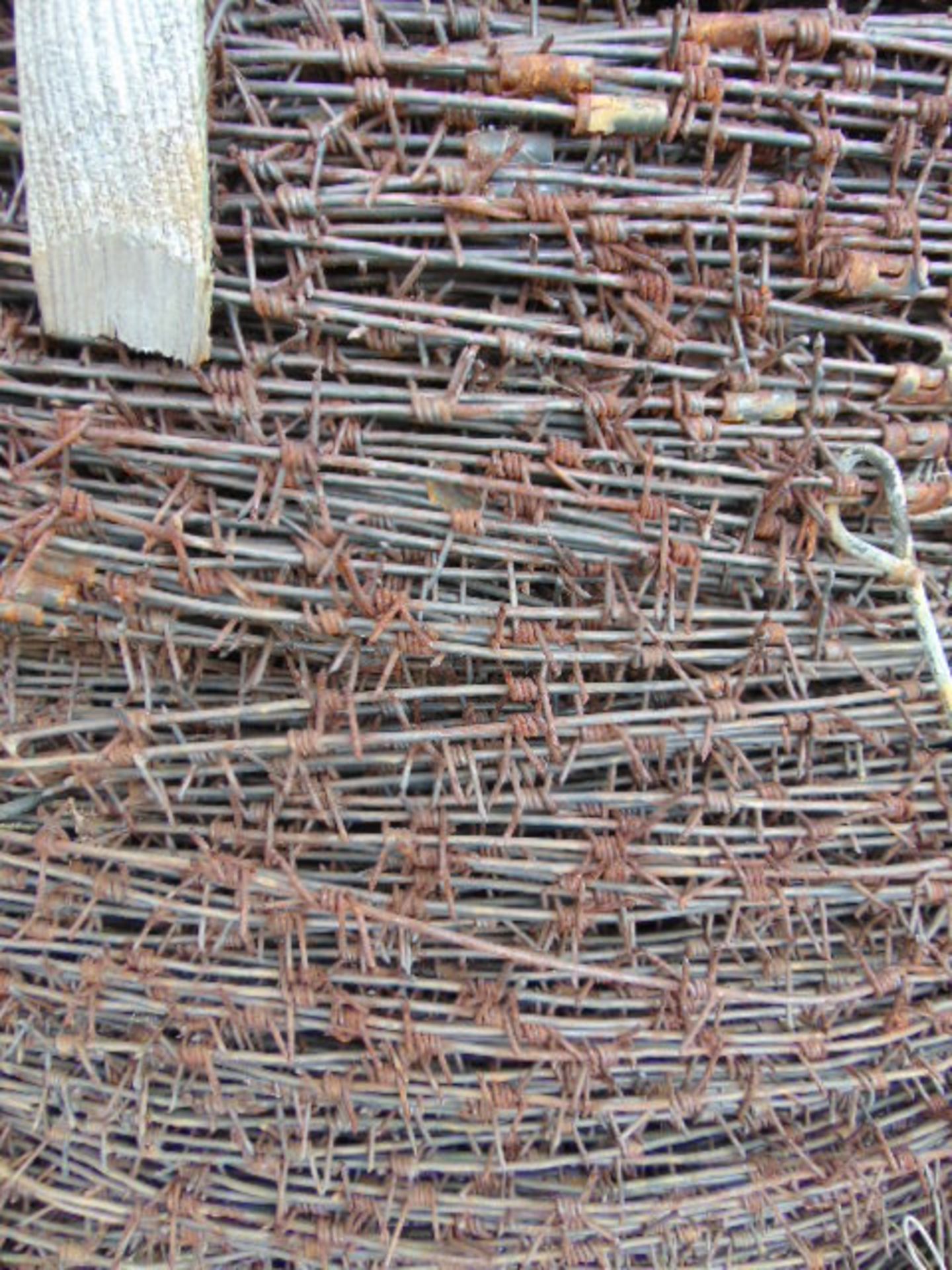 Pallet of Barbed Wire - Image 4 of 5