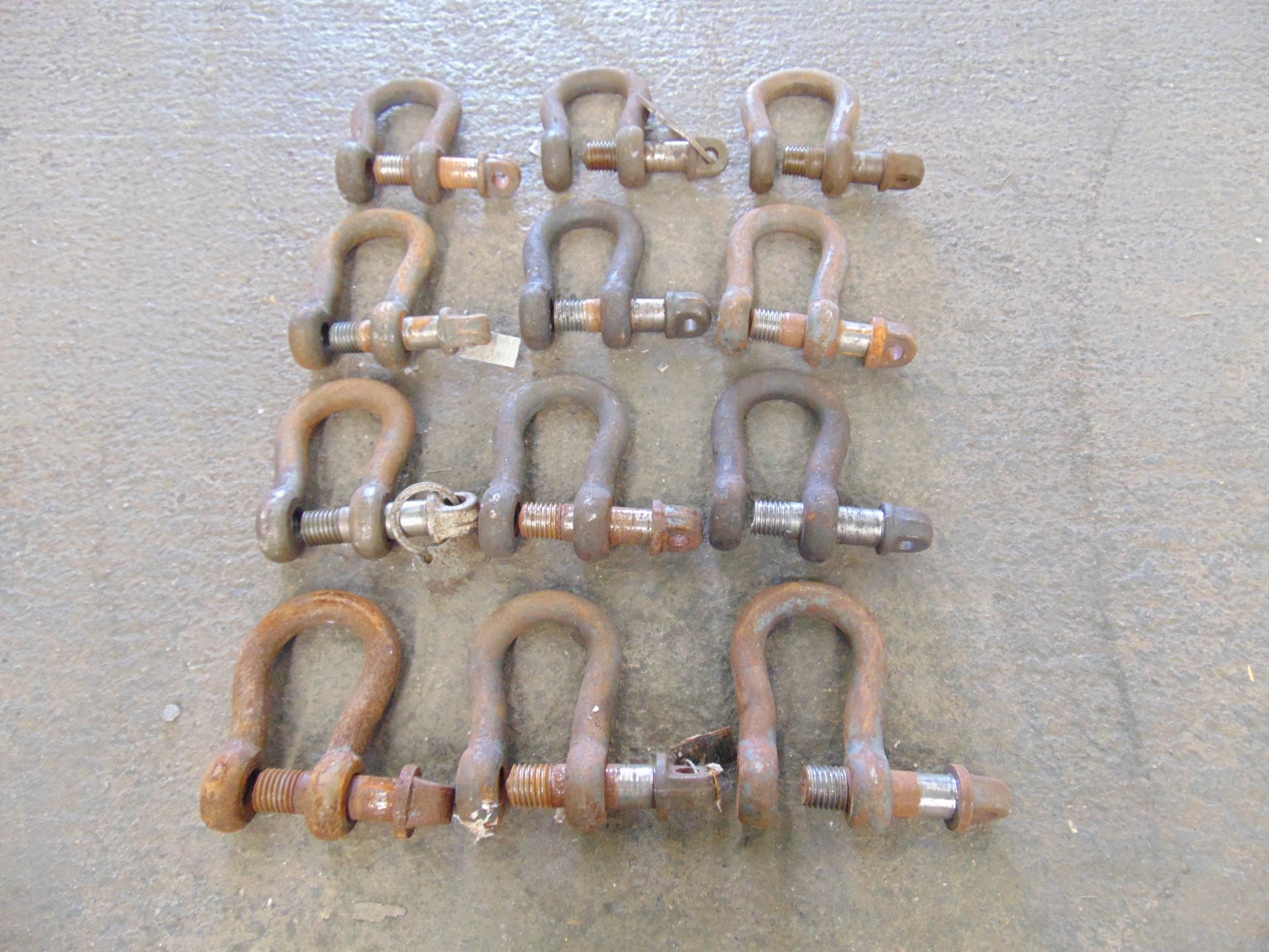 12 x D Shackles - Image 2 of 4