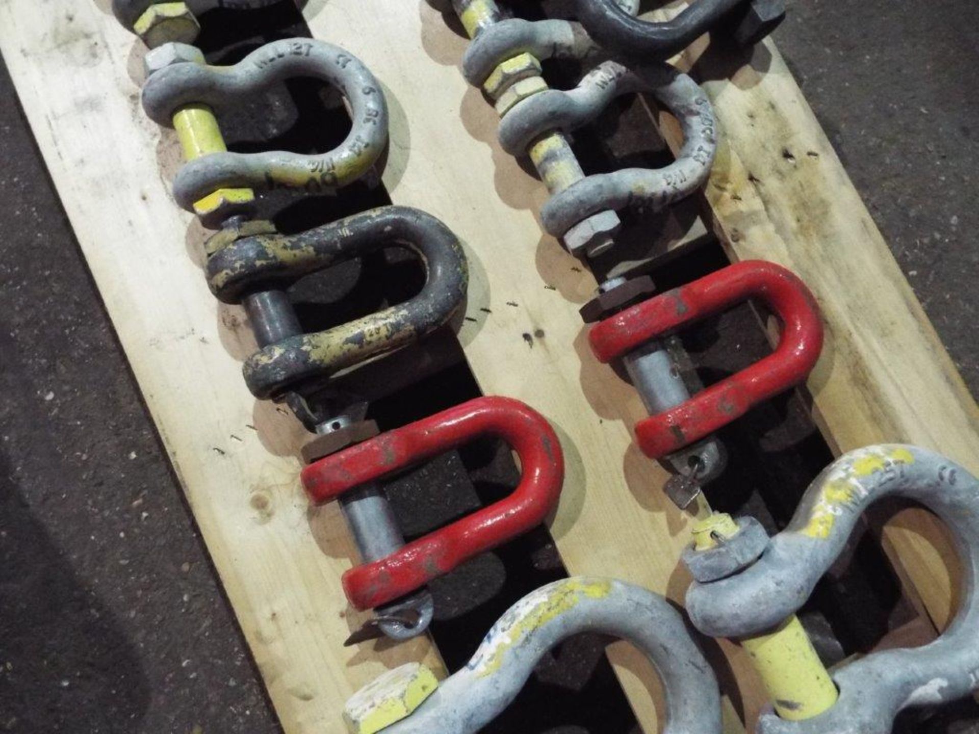 12 x Mixed Size D Shackles - Image 3 of 5