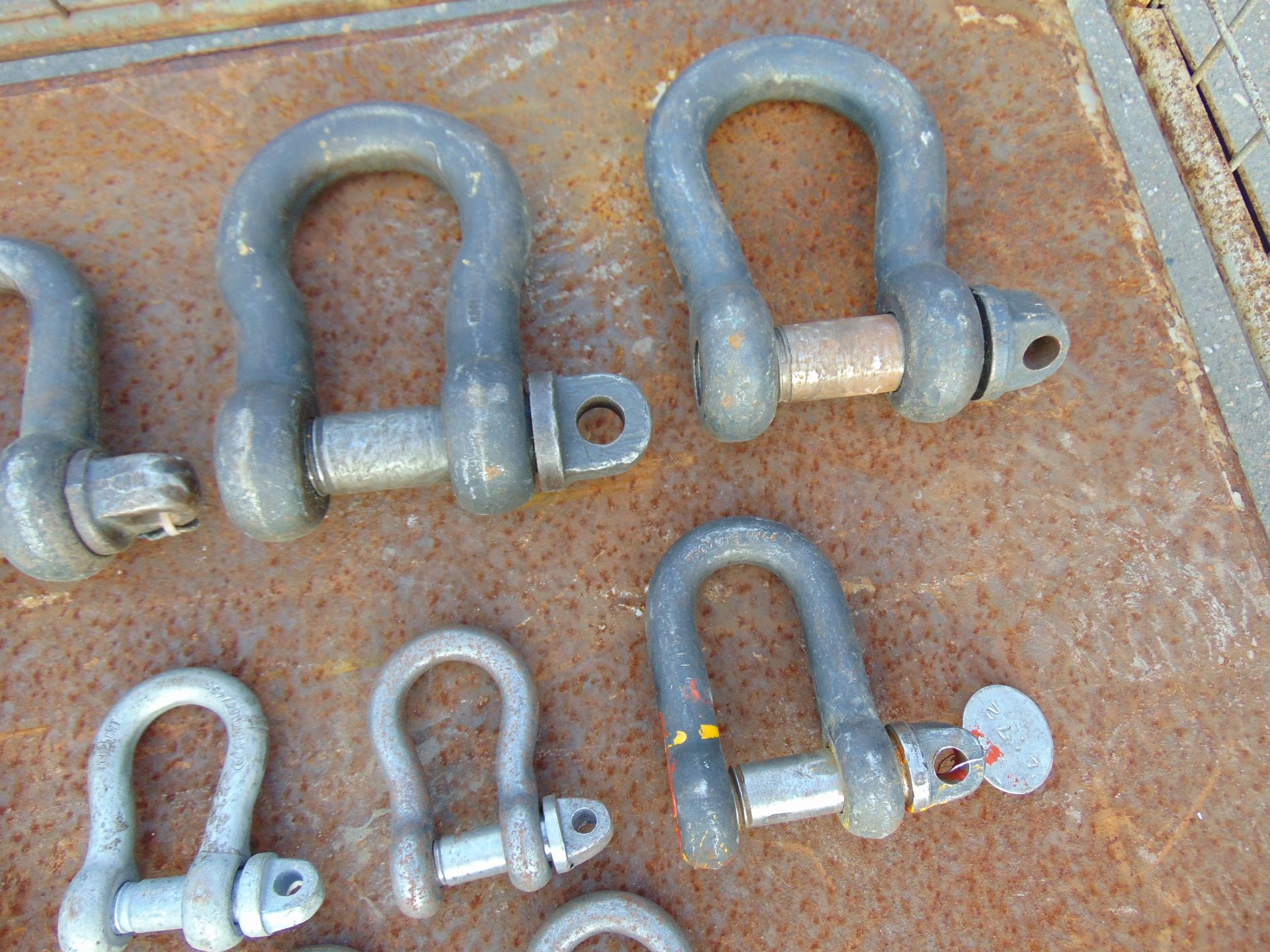 27 x Mixed D Shackles - Image 3 of 4