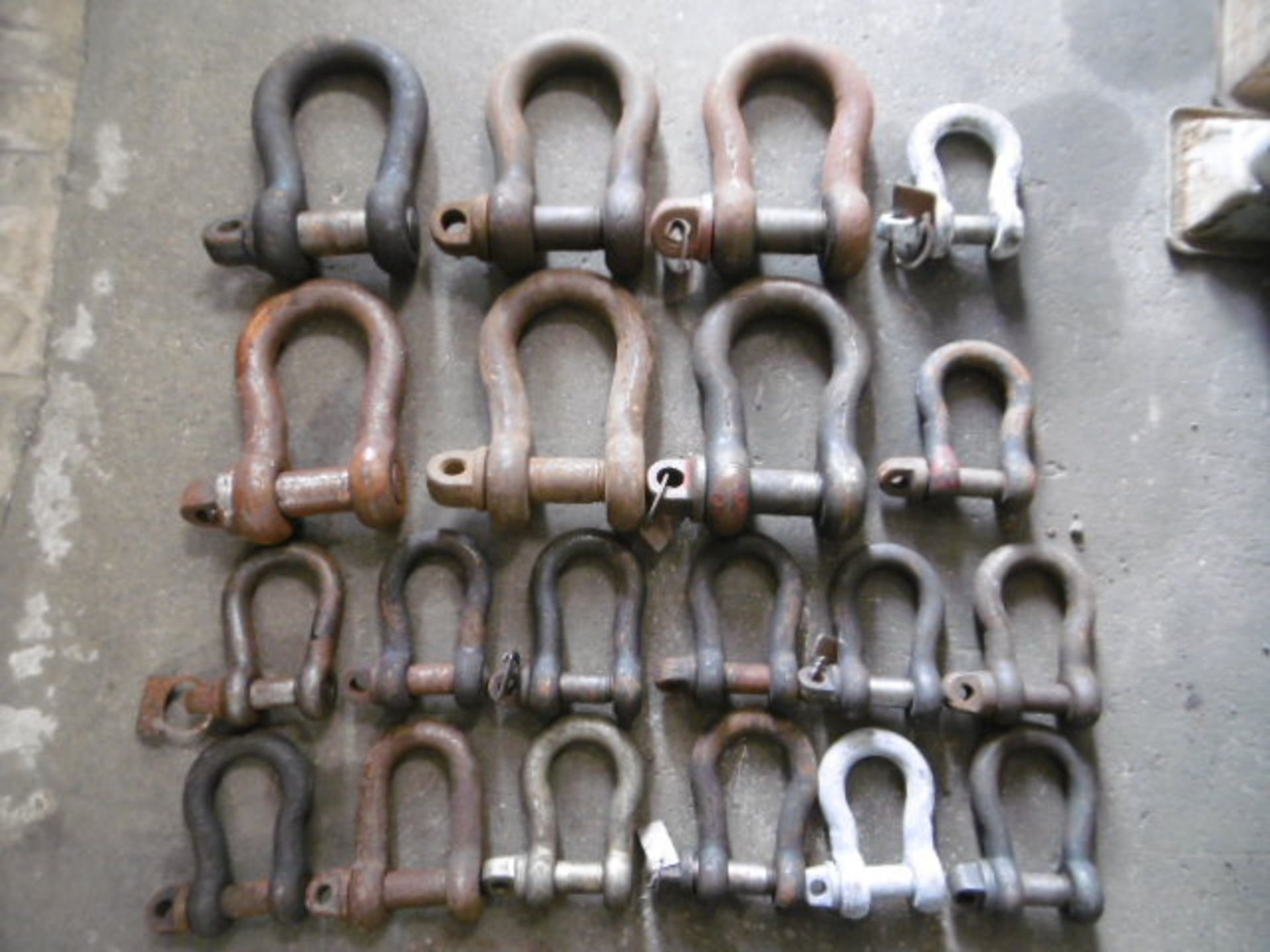 20 x mixed size D Shackles