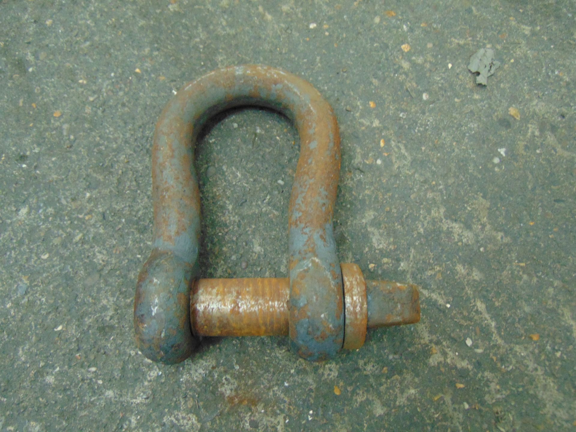 16 x Mixed D Shackles - Image 2 of 3