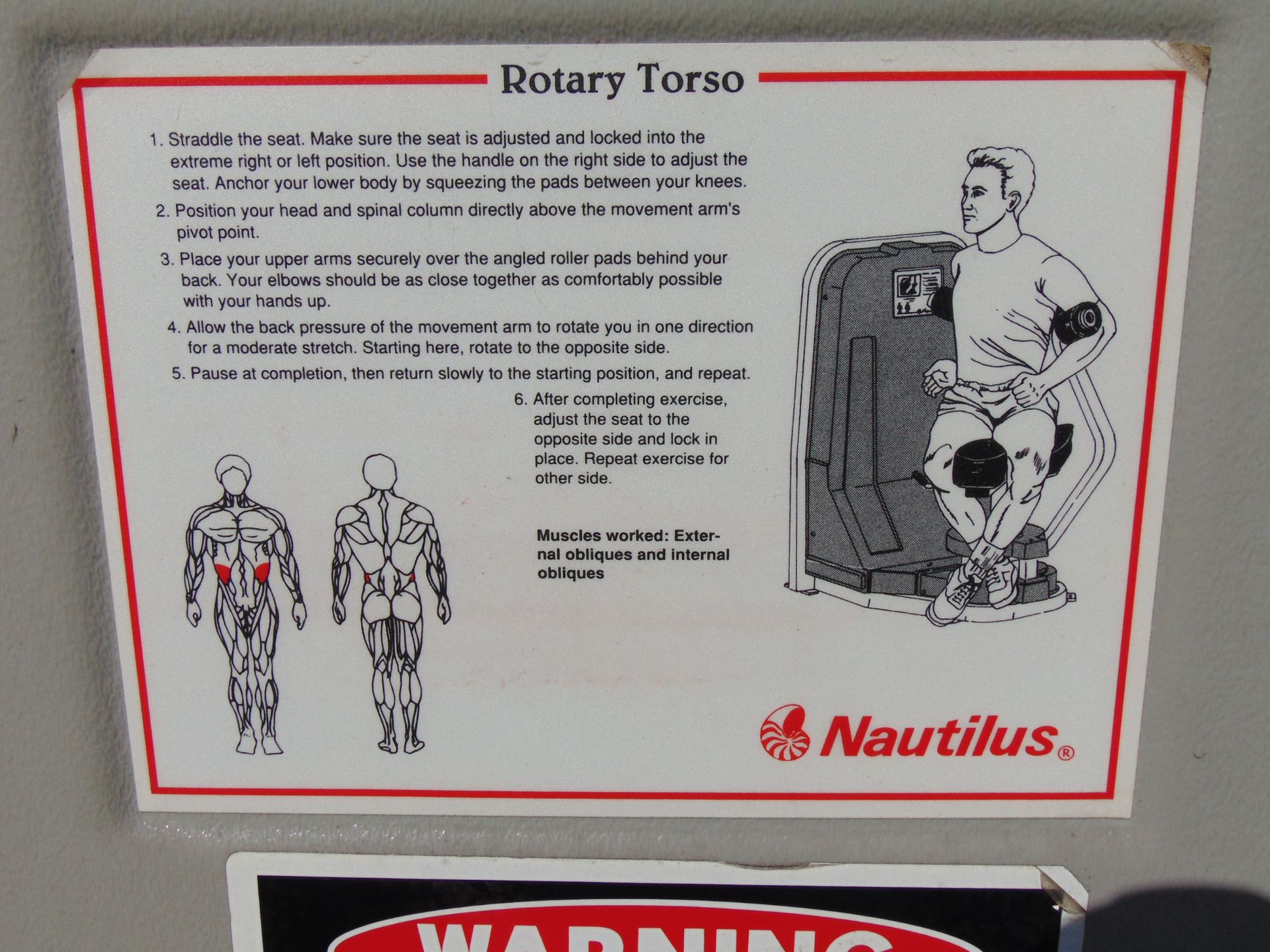 Nautilus Rotary Torso Abdominal Crunch Exercise Machine - Image 7 of 8