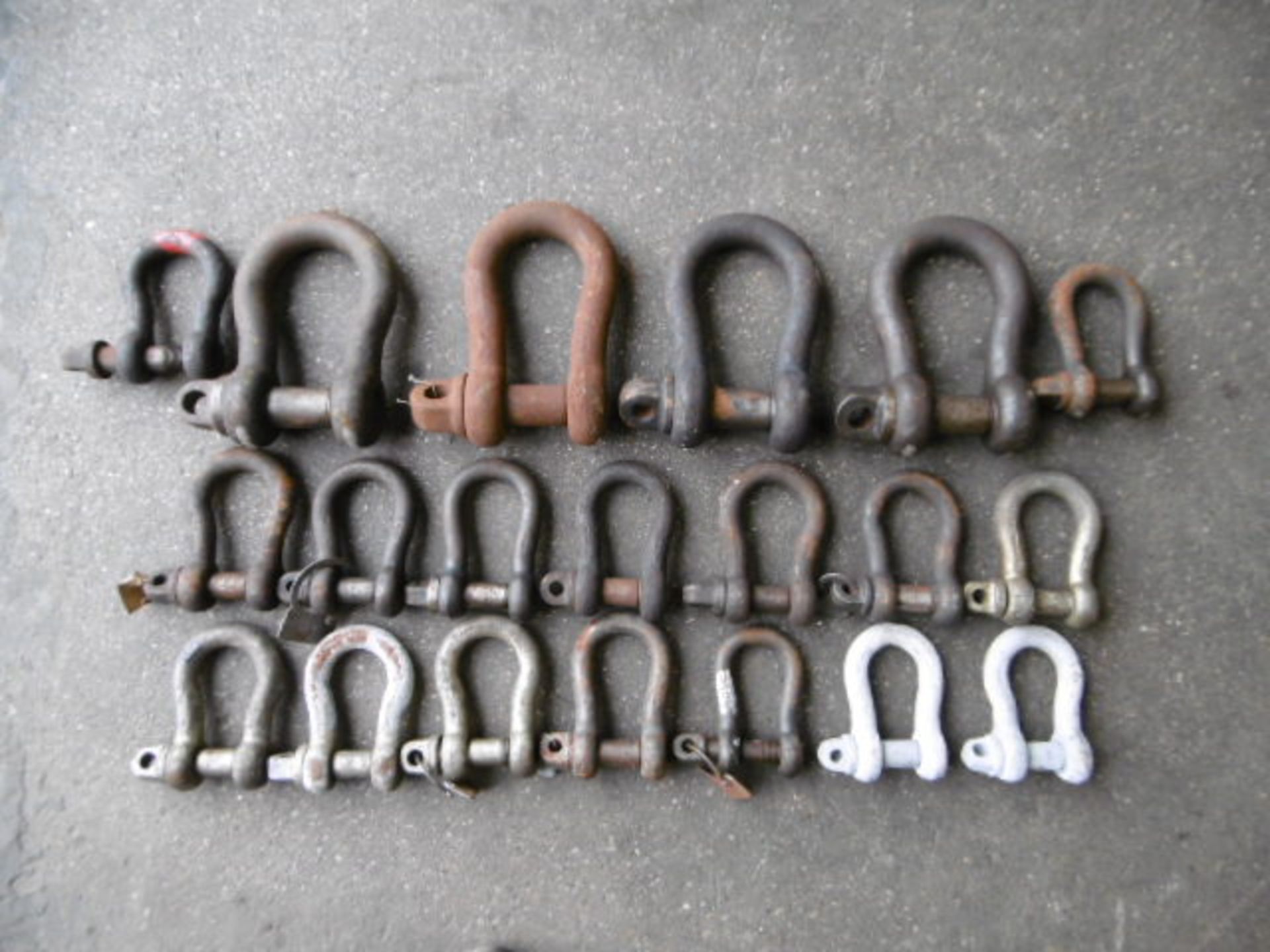 20 x mixed size D Shackles