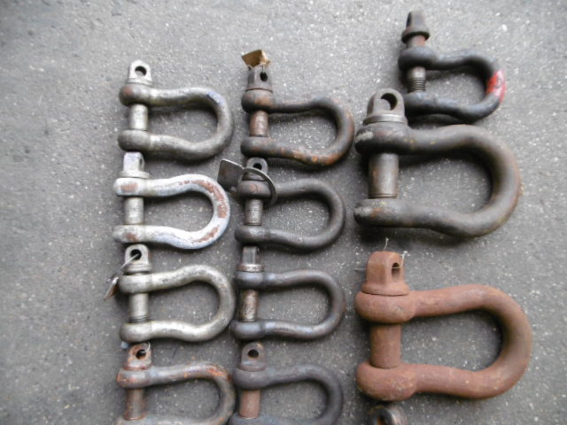 20 x mixed size D Shackles - Image 2 of 3
