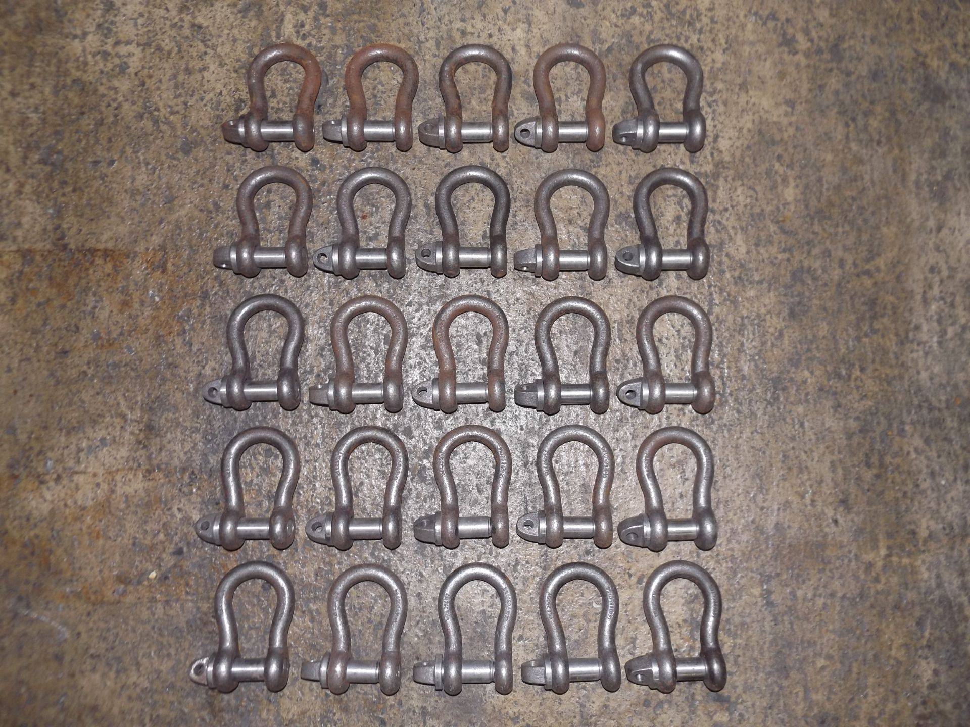 25 x Unissued D Shackles