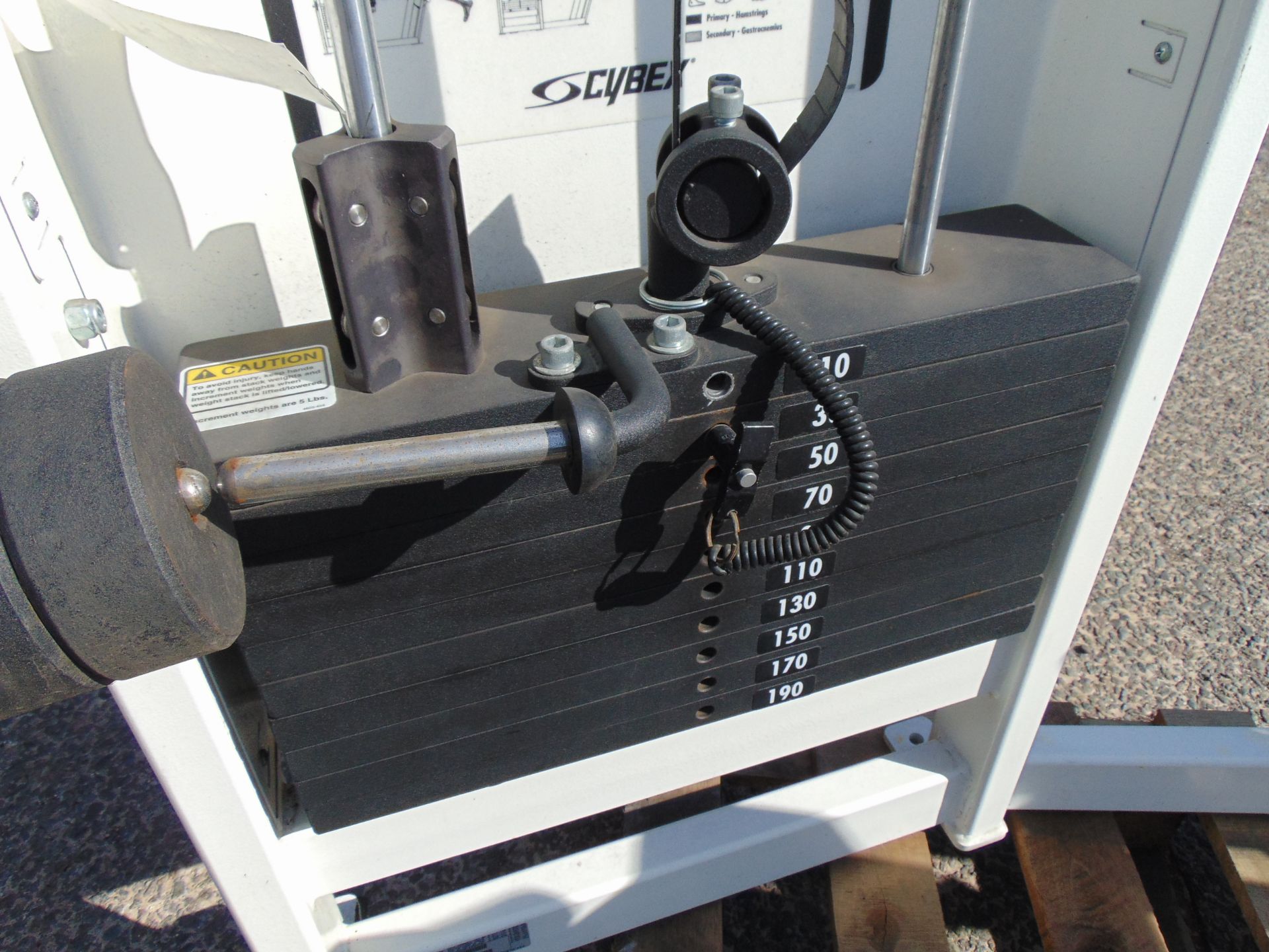 Cybex Prone Leg Curl Exercise Machine - Image 5 of 12